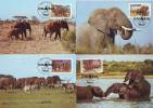 0212bn: WWF- Ausgabe Uganda: Elefanten, 4 Maximumcards - Elefanten
