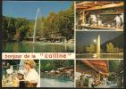 Bonjour De La COLLINE Restaurant Chamoson Colline-aux-Oiseaux 1997 - Chamoson