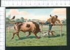 Jolie Carte Chromo Chasseur Chasse Taureau - Before 1900