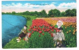 US-390   HOLLAND : Tulip Time - Altri & Non Classificati