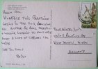 Kenya 1987 Postcard To England UK - Coast Coconut Women Bikini - Flowers ( 3.5 Sh - Scott # 257, Cat Val = 1.50 $) - Kenya (1963-...)