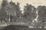 Delcampe - ALGERIE * BLIDA - Jardin Bizot - Blida