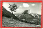 * CLELLES-Le Mont Aiguille-1957 - Clelles