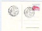 Table Tennis Italy Special Cancel On Card 1982 - Tafeltennis