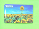 NEW ZEALAND - Magnetic Phonecard As Scan - New Zealand