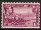 MONTSERRAT   Scott #  94a**  VF MINT NH - Montserrat