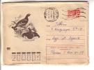 GOOD USSR Postal Cover 1973 - Birds - Galline & Gallinaceo