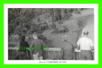 ELEPHANTS - PICTURES TAKEN FROM TREETOPS ZOO,  NYERI, KENYA - PHOTO G.A. MASON SMITH - - Elephants