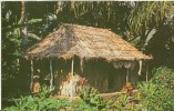 USA – United States – The Waioli Tea Room, Manoa Valley, Honolulu, Hawaii, Unused Postcard [P4696] - Honolulu