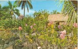 USA – United States – Kong's Floraleigh Gardens, Hilo, Hawaii, Unused Postcard [P4712] - Hilo