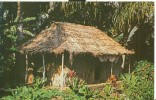 USA – United States – The Waioli Tea Room, Manoa Valley, Honolulu, Hawaii, Unused Postcard [P4729] - Honolulu