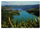 AÇORES - SÃO MIGUEL - As Lagoas Das Sete Cidades - Açores