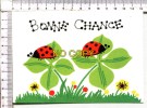 COCCINELLES  -  Bonne Chance - Insectes