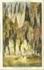 USA – United States – The King's Throne In The Palace, Carlsbad Cavern, New Mexico, 1920s Unused Postcard [P4798] - Altri & Non Classificati