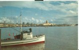 USA – United States –  San Diego Skyline From Bay, California 1960 Used Postcard [P4825] - San Diego