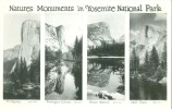USA – United States –  Natures Moments In Yosemite National Park, RPPC Real Photo Unused Postcard [P4849] - Yosemite