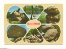 Cp, 81, Le Sidobre, Multi-Vues, Voyagée 1986 - Sonstige & Ohne Zuordnung