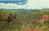 USA – United States – Hanapepe Valley, Hawaii,  Unused Postcard [P4875] - Otros & Sin Clasificación