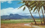 USA – United States –Sleeping Giant, Kapaa, Kauai, Hawaii, Unused Postcard [P4876] - Kauai