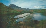 USA – United States – Menehune Fish Pond, Kauai, Hawaii, Unused Postcard [P4879] - Kauai