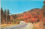 USA – United States – Dextone Beauty Scene, Monticello, 1953 Used Postcard [P4889] - Other & Unclassified