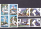 Birds;WWF;Pélicans,Pelican,1984-2005  ** MNH,Romania. - Pelícanos