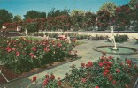 USA – United States –  Sunken Rose Court, Lambert Gardens, Portland, Oregon, Unused Postcard [P4948] - Portland