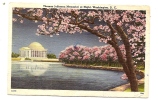 WASHINGTON DC-TOMAS JEFFERSON MEMORIAL AT NIGHT-OLD POST CARD-not Traveled - Washington DC