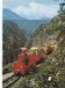 CARTE POSTALE  TRAIN - Ferrovie