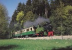 CARTE POSTALE  TRAIN - Spoorwegen