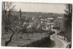 ORGEVAL  - Vue Générale. CPSM 9x14 - Orgeval