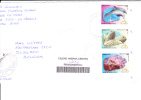 24/440     LETTRE CUBA - Dolphins