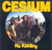 CESIUM - No Kidding - CD - PUNK'N'ROLL - DOGS - Punk