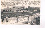 CASTRIES - Avenue De La Gare - Castries