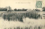 Triel - Etang Des Bois De L'Hautil ( Voir Verso ) - Triel Sur Seine