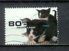 YT N° 1648 -  Oblitéré - Animaux Domestiques - Used Stamps