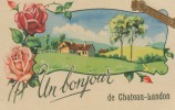 CPA 77 : CHATEAU LANDON   Un Bonjour De  Avec Bonne Année   A   VOIR !!!! - Chateau Landon