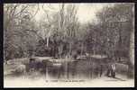 CPA  ANCIENNE- FRANCE- LUCON (85)- L'ETANG DU JARDIN PUBLIC- ANIMATION - Lucon