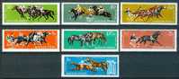 HUNGARY - 1961.Hungarian Horse Sport MNH!! - Unused Stamps