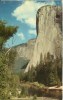 USA – United States – Yosemite National Park, California, El Capitan, Used Postcard [P5032] - Yosemite