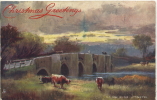 TUCKS OILETTE - UTTOXETER - THE DON BRIDGE - CUBLEY - Sonstige & Ohne Zuordnung