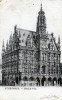 17745    Belgio,  Audenarde,  Hotel  De  Ville,  VG  1902 - Oudenaarde