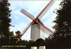 KASTERLEE (Antw.) - Molen/moulin - De Houten Standaardmolen Omstreeks 1980 - Kasterlee