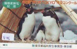 Télécarte Ancienne Japon * OISEAU MANCHOT  (848) PENGUIN BIRD Japan * Phonecard * PINGUIN * - Pingouins & Manchots