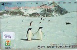 Télécarte Ancienne Japon * OISEAU MANCHOT  (844) PENGUIN BIRD Japan * Phonecard * PINGUIN * Seveneleven - Pingouins & Manchots