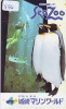 Télécarte Ancienne Japon * OISEAU MANCHOT  (854) PENGUIN BIRD Japan * Phonecard * PINGUIN * ZOO - Pingueinos