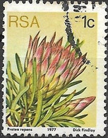 SOUTH AFRICA 1977 Succulents - 1c Protea Repens  FU - Oblitérés