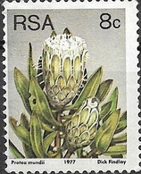 SOUTH AFRICA 1977 Succulents - 8c P. Mundii  FU - Oblitérés