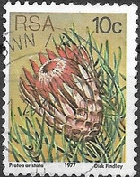 SOUTH AFRICA 1977 Succulents - 10c P Aristata  FU - Oblitérés