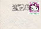 Romania / Cover With Special Cancellation / Protect Fauna - Swans - Cygnes